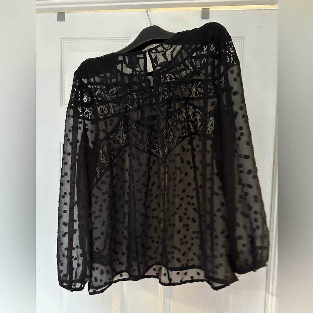 Anthro HD In Paris Black Mesh Lace Blouse
